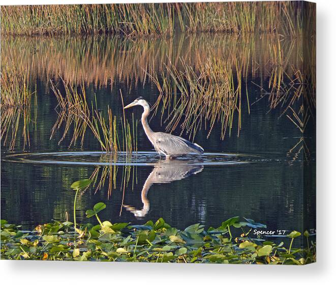 Florida Canvas Print featuring the photograph Blue Alert by T Guy Spencer