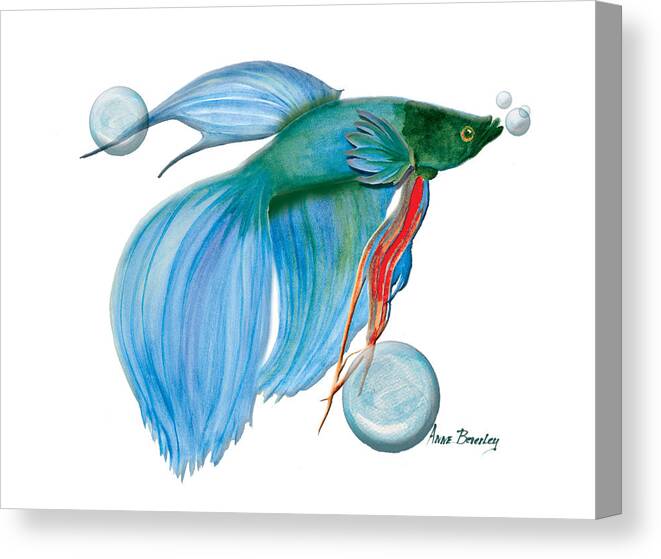 Beta Fish Canvas Print featuring the painting Blue Beta Fish by Anne Beverley-Stamps