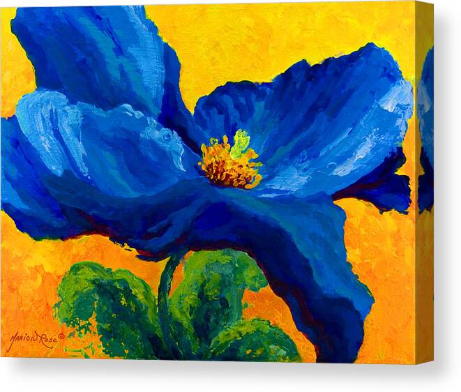 Poppies Canvas Print featuring the painting Blue Poppy by Marion Rose