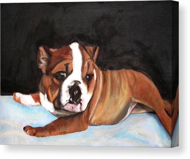 Bulldog Canvas Print featuring the painting Bulldog by Keith Bagg
