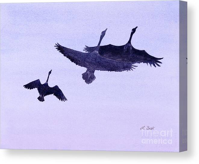 Canada Canvas Print featuring the painting Canadian Geese by Laurel Best