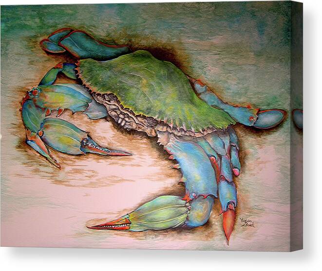 Crab Canvas Print featuring the painting Carolina Blue Crab by Virginia Bond