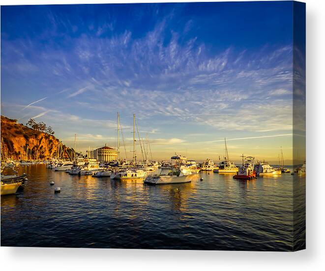 Catalina Canvas Print featuring the photograph Catalina Golden Dawn by Pamela Newcomb