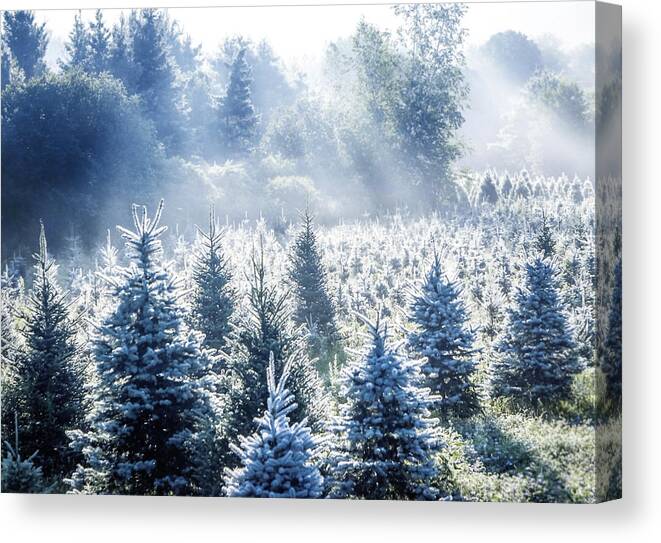 Landscape Canvas Print featuring the photograph Christmas Everday by Artsy Gypsy