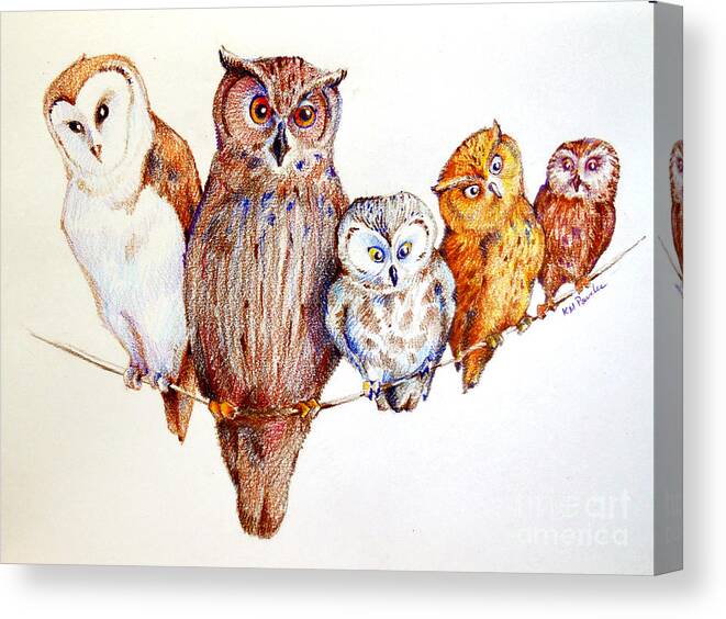 Owl Canvas Print featuring the drawing Close Scrutiny by K M Pawelec