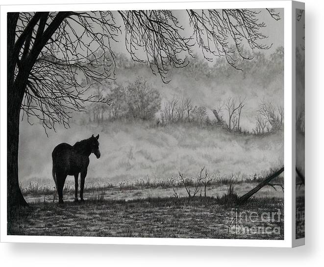 Pencil Canvas Print featuring the drawing Country Horse by Murphy Elliott