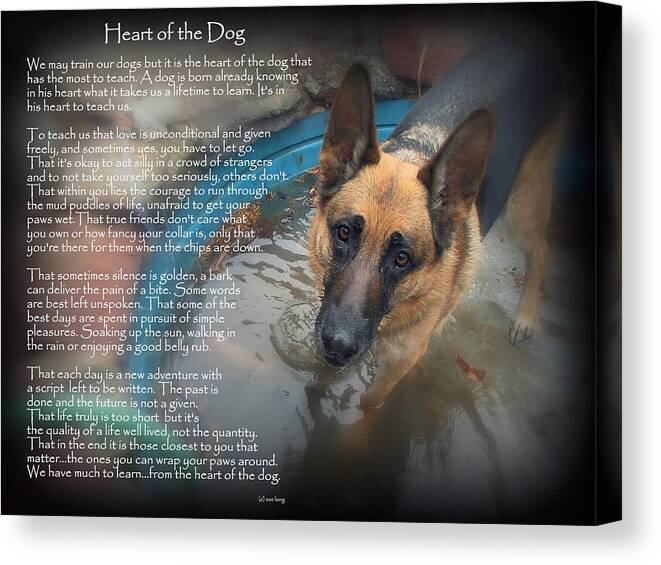 Quote Canvas Print featuring the photograph Custom Paw Print Maxx Heart of the Dog by Sue Long