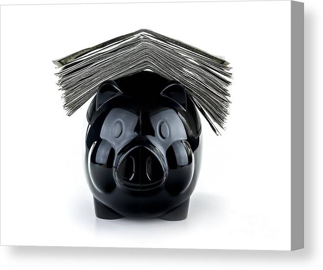 Account Canvas Print featuring the photograph Cute black piggybank by Anna Om