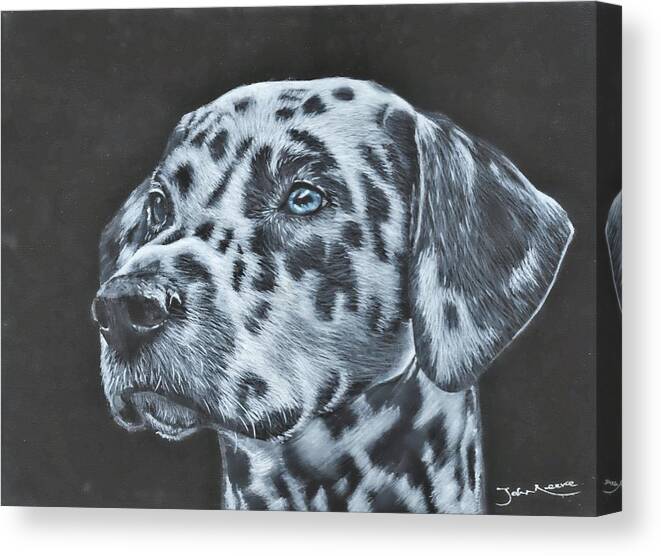 Dalmation Canvas Print featuring the painting Dalmation Portrait by John Neeve