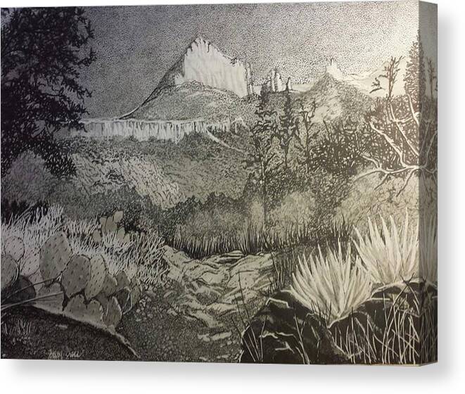 Pen And Ink Canvas Print featuring the drawing Desert Beauty by Betsy Carlson Cross
