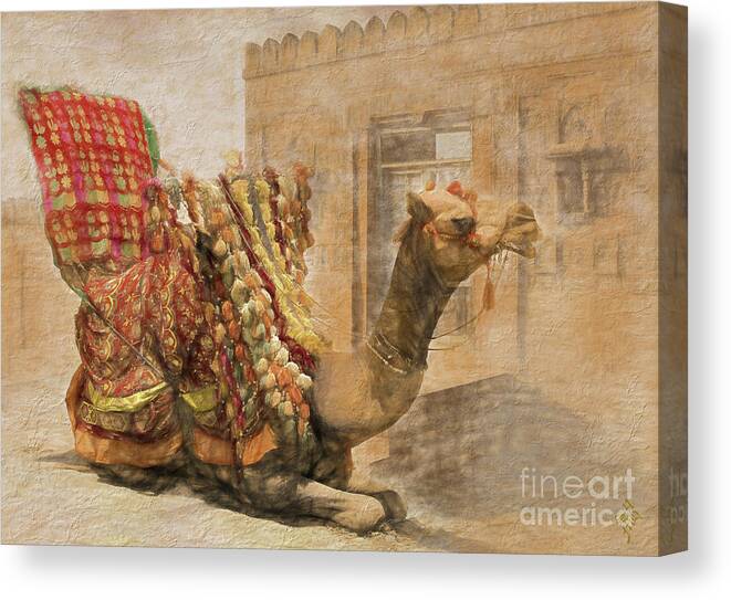 Camel Ride Canvas Print featuring the digital art Desert Ride by Syed Muhammad Munir ul Haq