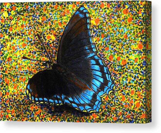 Blue Morph Butterfly Canvas Print featuring the drawing Discovery by Angela Davies