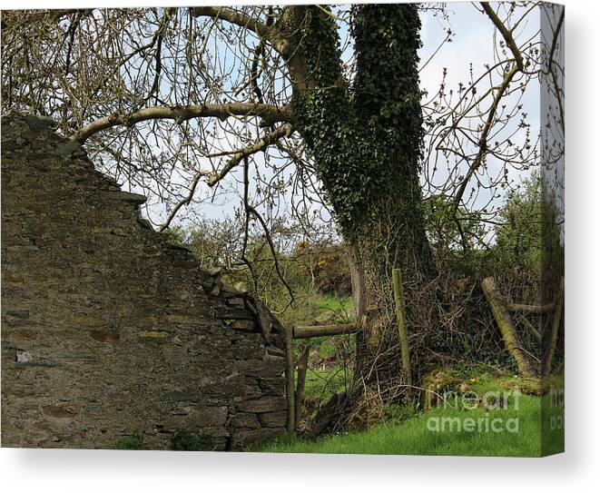 Down On The Farm Canvas Print featuring the photograph Down on the Farm Donegal by Eddie Barron