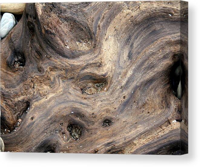 Horizontal Canvas Print featuring the photograph Driftwood and Stone by Valerie Collins