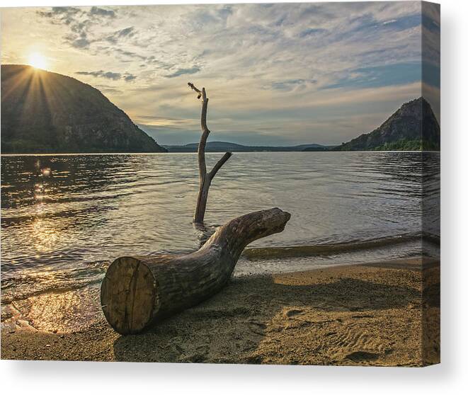 Driftwood Canvas Print featuring the photograph Driftwood Directional by Angelo Marcialis