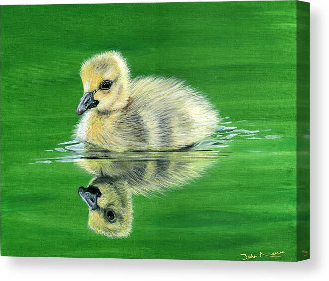Duckling Canvas Print featuring the painting Duckling by John Neeve
