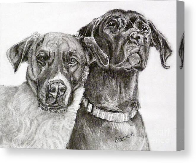 Dog Canvas Print featuring the drawing Duo by Susan A Becker