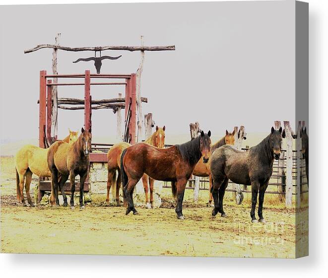 Horses Canvas Print featuring the photograph Eyes on Me by Merle Grenz