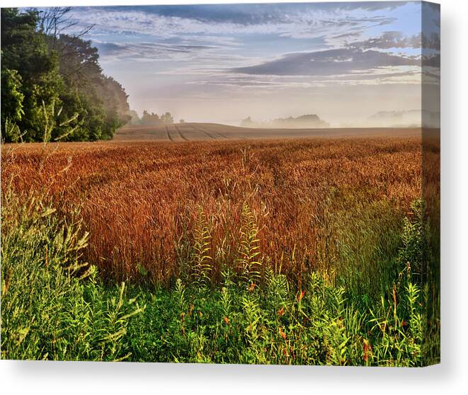 Canada Canvas Print featuring the photograph Farmland by Nick Mares