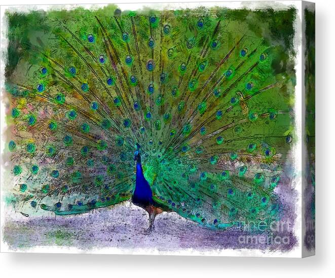 Peacock Canvas Print featuring the photograph Feathers Aglow by Mary Swann