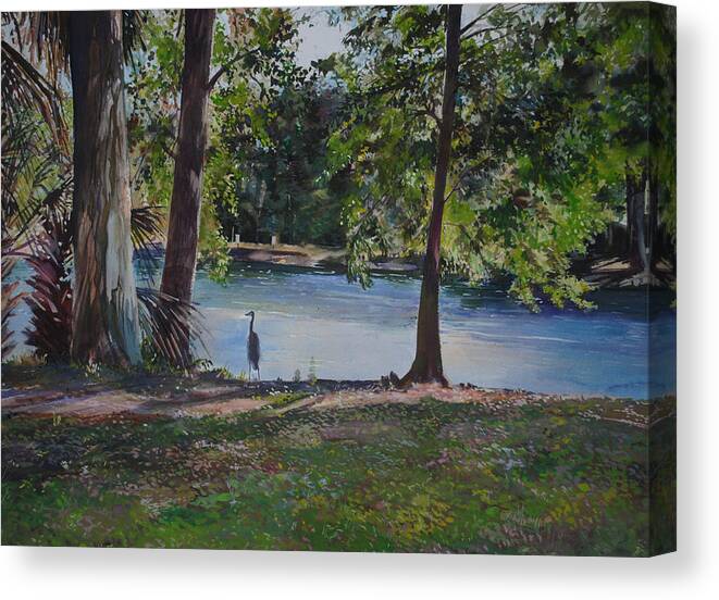 White Ibis Canvas Print featuring the painting Fish Hunter's of Palmetto Dunes by P Anthony Visco