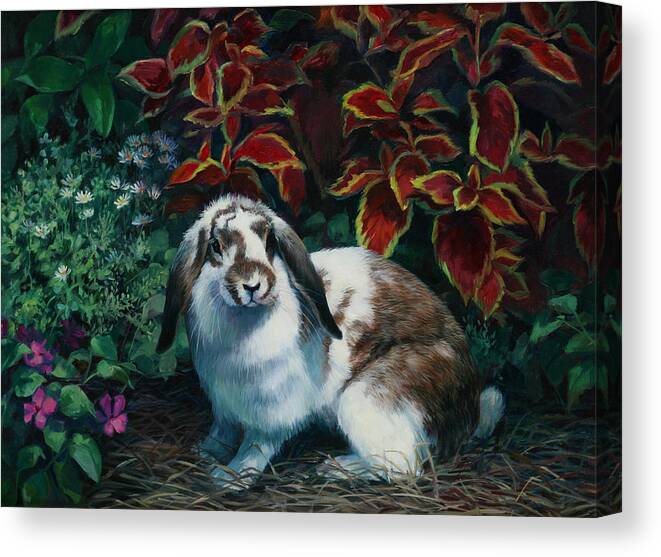 Floppy Ear Bunny Canvas Print featuring the painting Colorful Hideaway by Laurie Snow Hein
