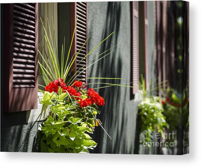 Flower Box Canvas Print featuring the photograph Flower Box by Andrea Silies