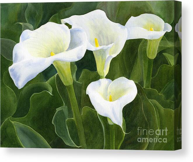 Calla Lily Flowers FLORAL  Canvas Print Framed Photo Picture Wall Artwork WA 