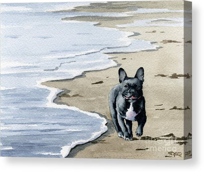 French Canvas Print featuring the painting French Bulldog at the Beach by David Rogers