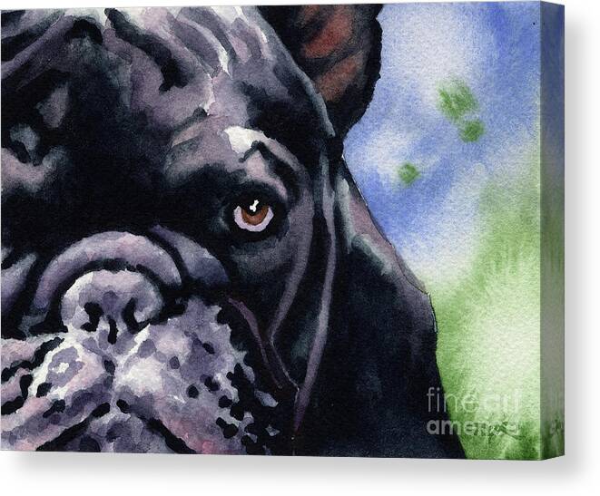 French Canvas Print featuring the painting French Bulldog by David Rogers