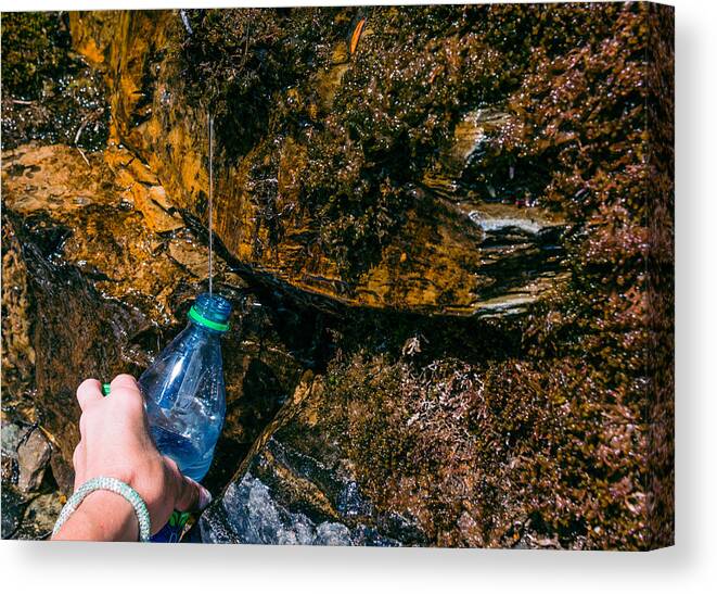 Hike Canvas Print featuring the photograph Fresh by Nancy Guerin