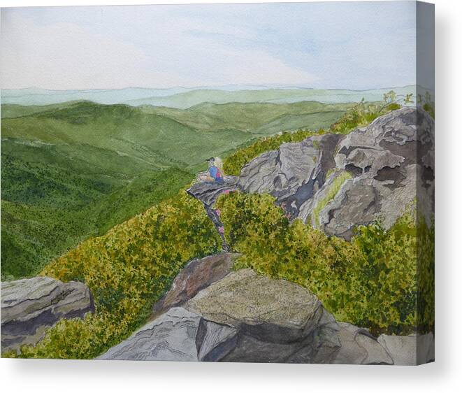 Craggy Gardens Canvas Print featuring the painting Front Row Seats by Joel Deutsch