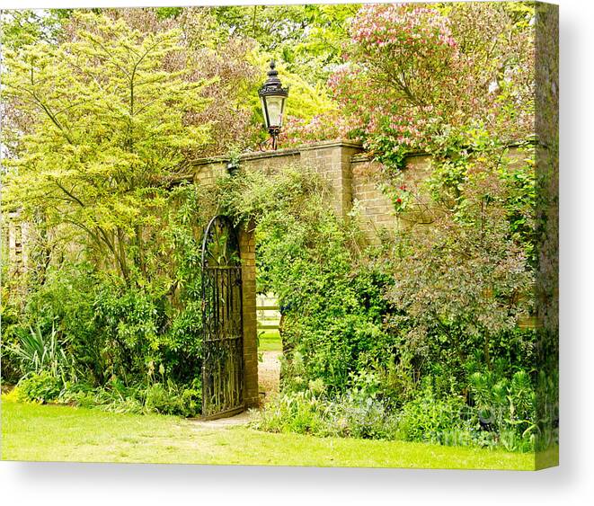 Garden Wall Canvas Print featuring the photograph Garden Wall With Iron Gate And Lantern. by Elena Perelman