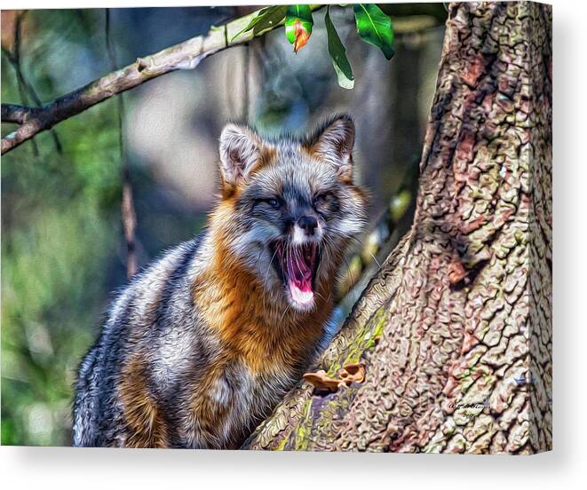 Nature Canvas Print featuring the digital art Gray Fox Awakens In The Tree by DB Hayes