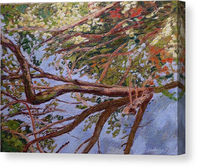 Encaustic Canvas Print featuring the painting Green lake tree by Stan Chraminski