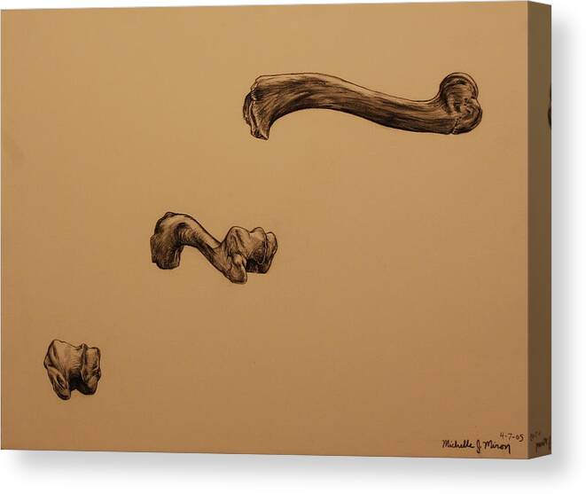 Bone Canvas Print featuring the drawing Growing Bone by Michelle Miron-Rebbe