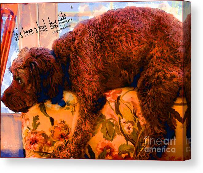 Dog Canvas Print featuring the mixed media Dog of the Hard Days Night by Zsanan Studio