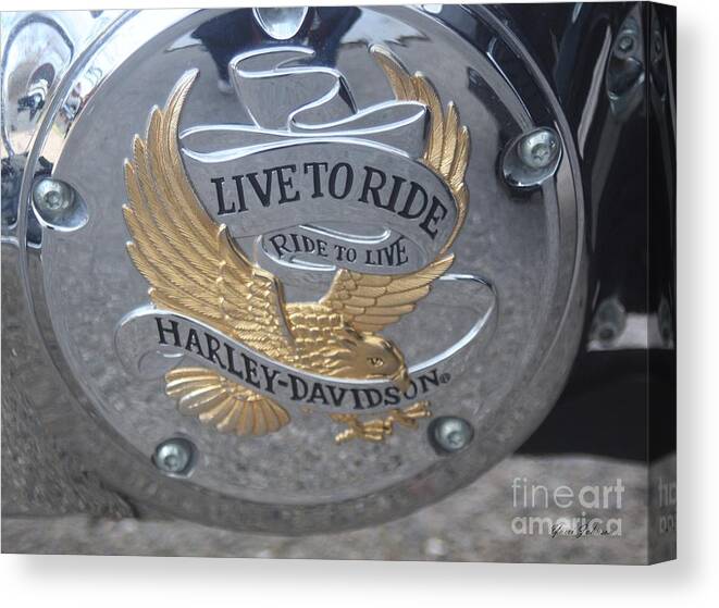 Bikes Canvas Print featuring the photograph Harley Davidson Accessory by Yumi Johnson
