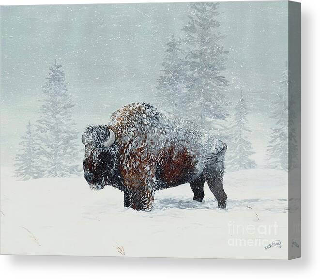Bison Canvas Print featuring the painting Harsh Reality by Elizabeth Mordensky
