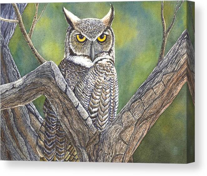 Owl Canvas Print featuring the painting Hooter by Catherine G McElroy