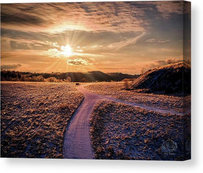 Ice Canvas Print featuring the photograph Ice Needles by Flying Dreams