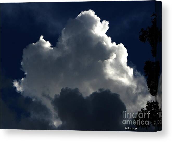 Patzer Canvas Print featuring the photograph In Light Of Things by Greg Patzer