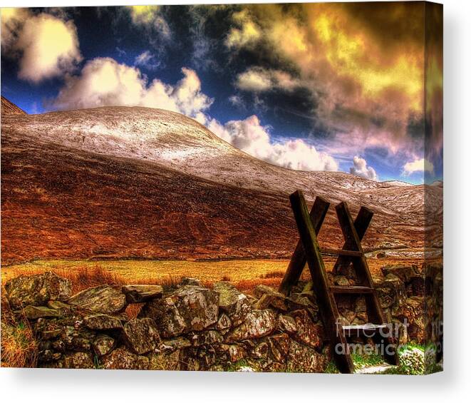 Mourne Canvas Print featuring the photograph Into The Wild by Kim Shatwell-Irishphotographer