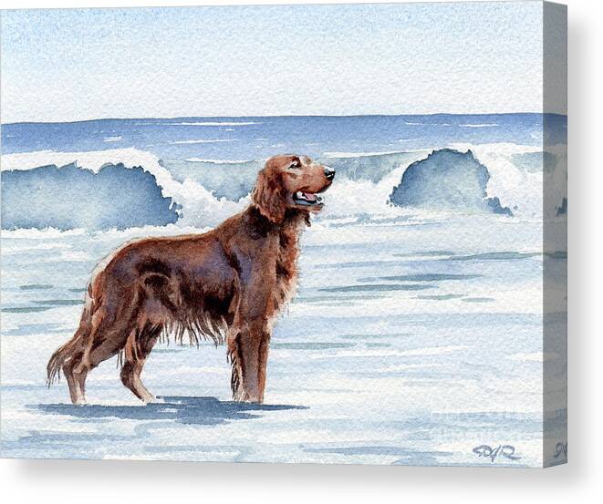 Irish Canvas Print featuring the painting Irish Setter at the Beach by David Rogers
