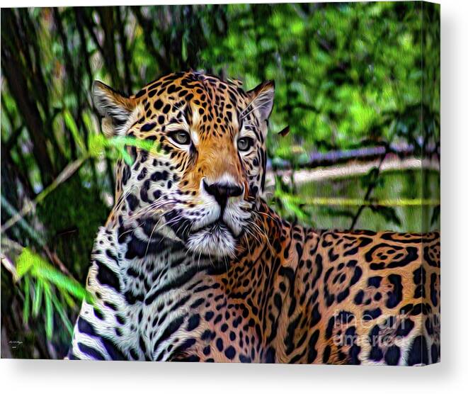 Jaguars Canvas Print featuring the mixed media Jaguar at Peace by DB Hayes