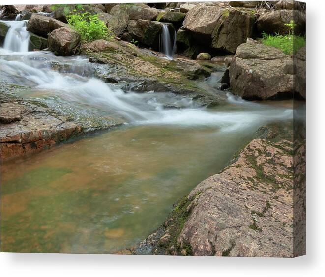 Acadia National Park Canvas Print featuring the photograph Jordan Stream by Holly Ross