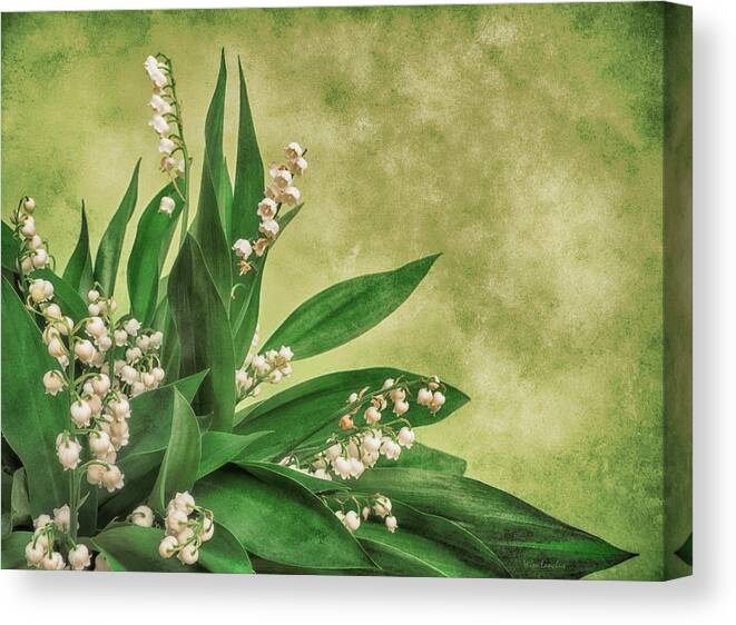 Lily Of The Valley Canvas Print featuring the photograph Little Poison by Wim Lanclus