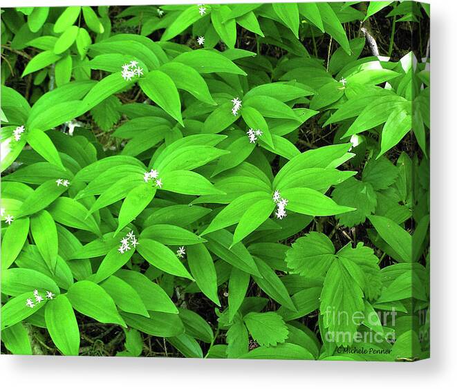 Lush Leaves Canvas Print featuring the photograph Lush Leaves by Michele Penner