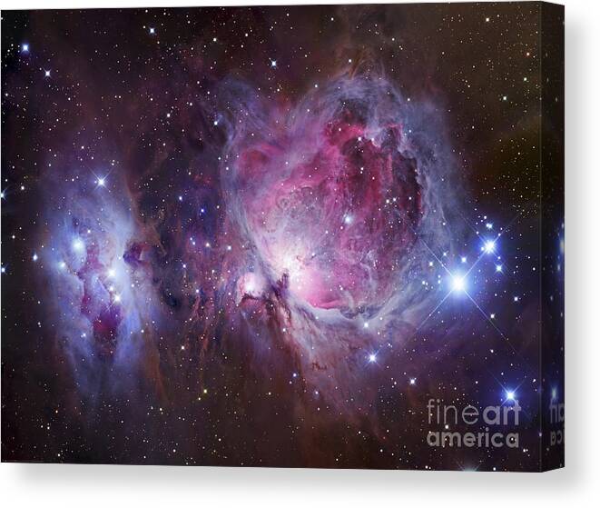 Astronomy Canvas Print featuring the photograph M42, The Orion Nebula Top, And Ngc by Robert Gendler