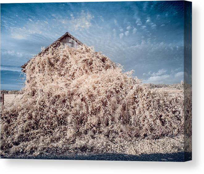Barn Canvas Print featuring the photograph March of Neglect by Greg Nyquist